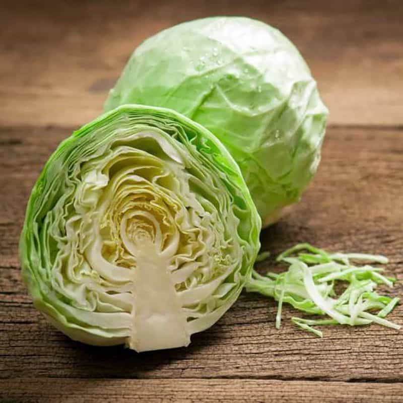 تصویر 4 از خرید و قیمت کلم پیچ + فروش عمده